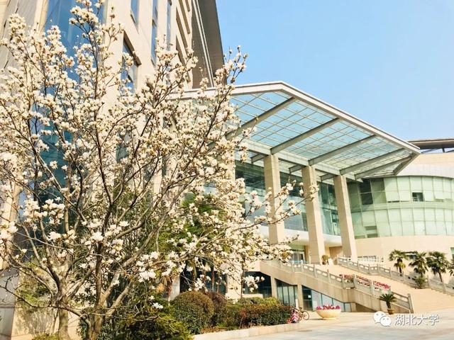 sunbet申愽官网校长谢红星在学生班会上的特别寄语：热爱生活，珍爱生命